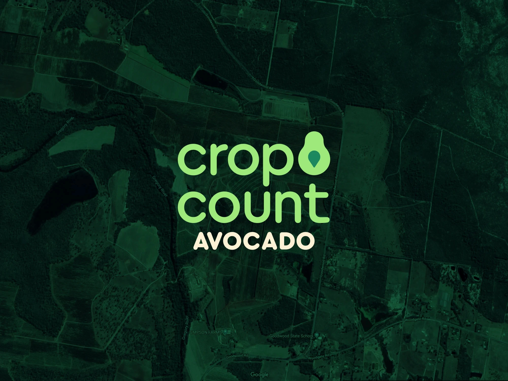 Crop Count Avocado logo