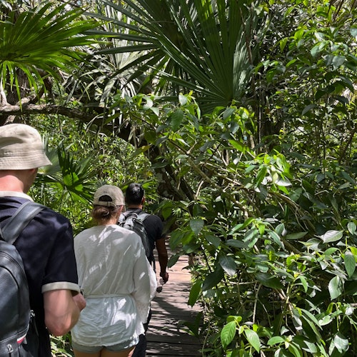 Grupo na selva