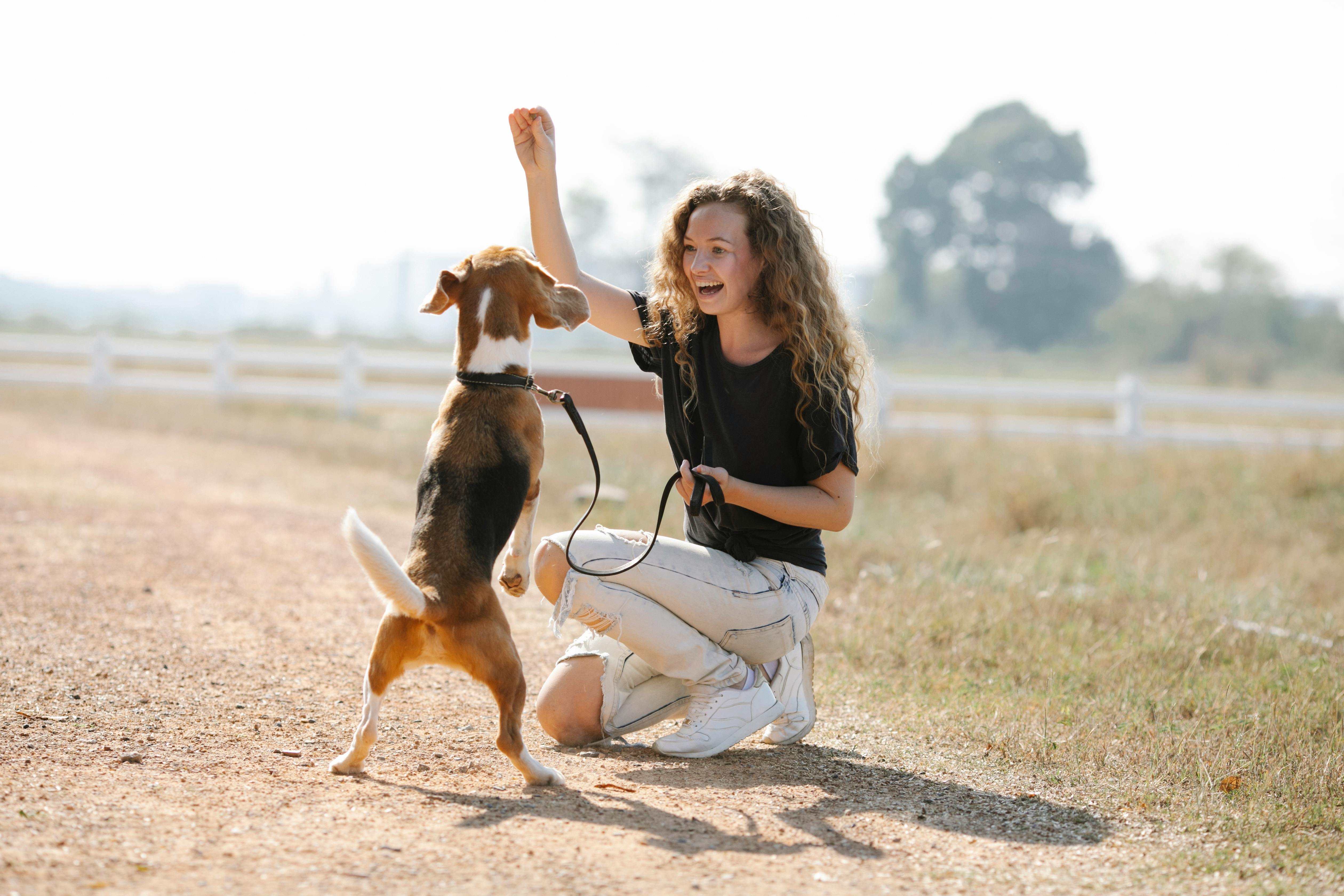 A girl Playing with a dog