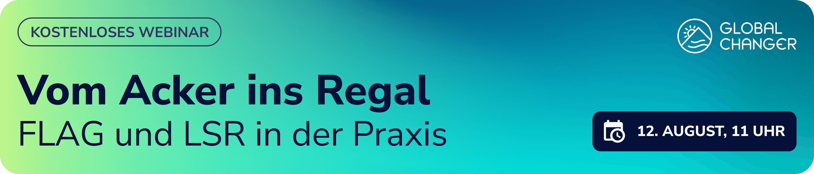 Webinar zu FLAG und LSR