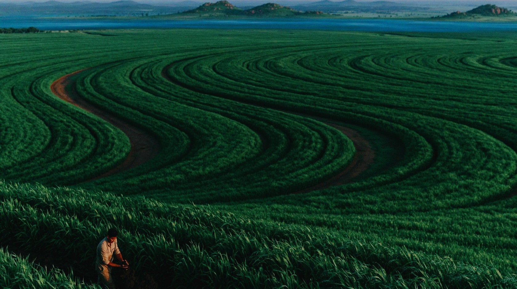 Vista aérea de campo agrícola con patrones curvilíneos de siembra, filas verdes alternadas con tierra parda oscura y figura humana.