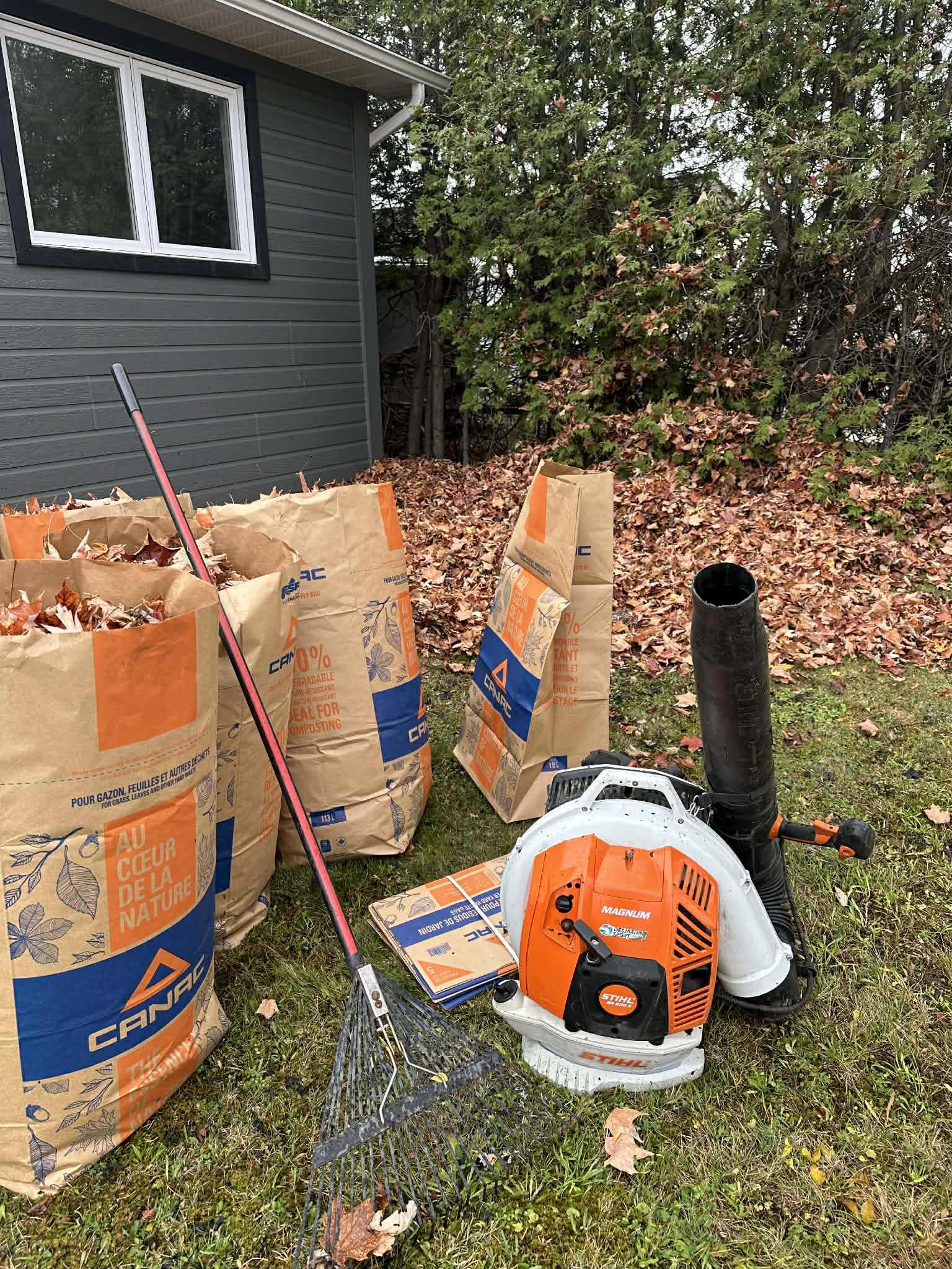 Image Representing the service