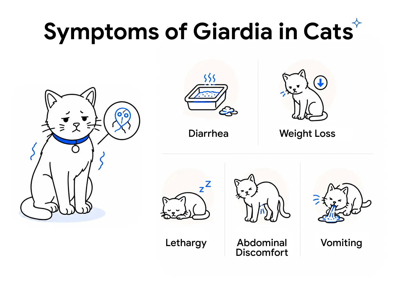An infographic showing a cat being checked by vets and highlighting the symptoms of Giardia in cats.