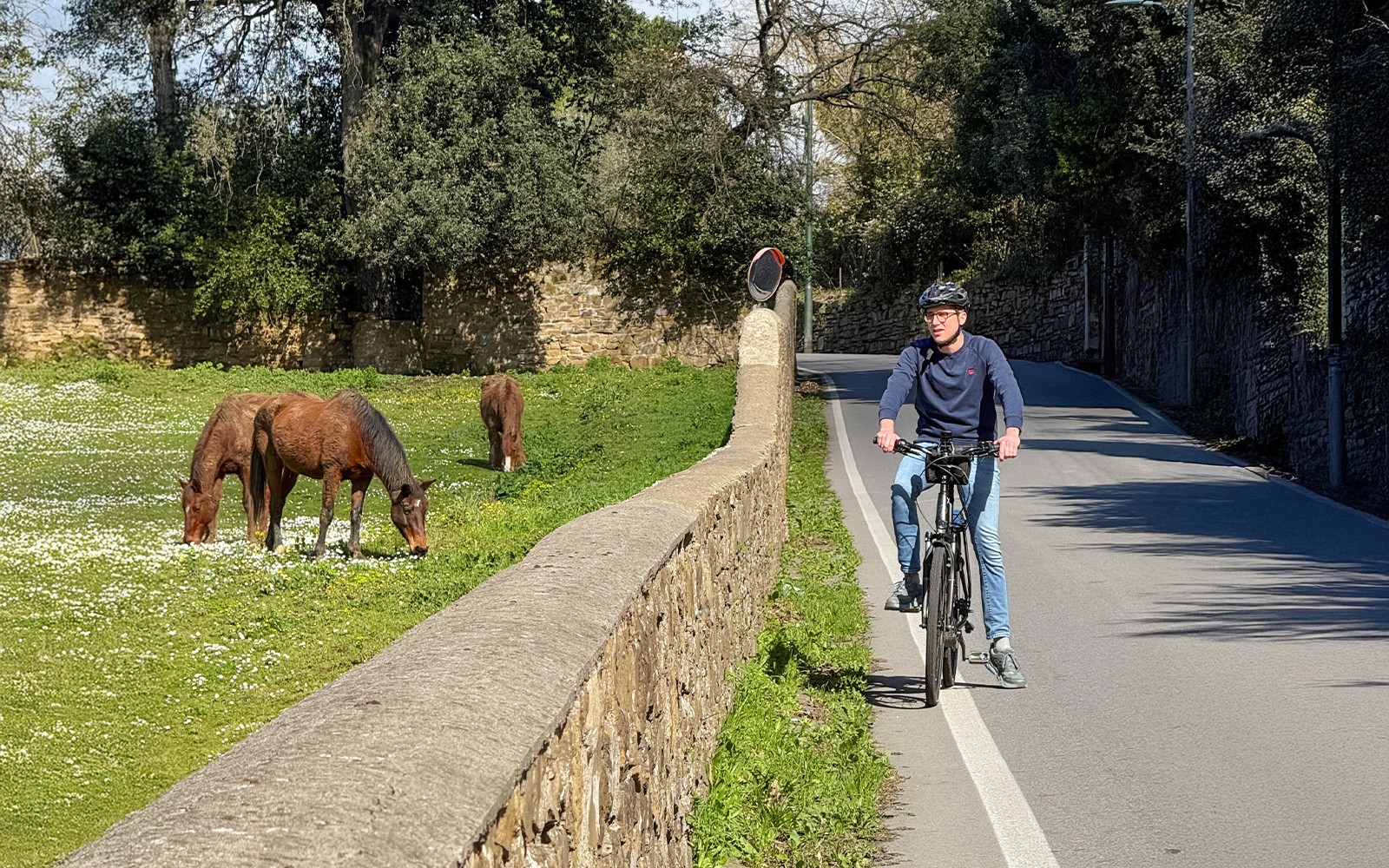 Turyści na wycieczce rowerowej na e-bike’ach na wsi we Florencji obserwujący zwierzęta gospodarskie.