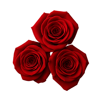 Red roses