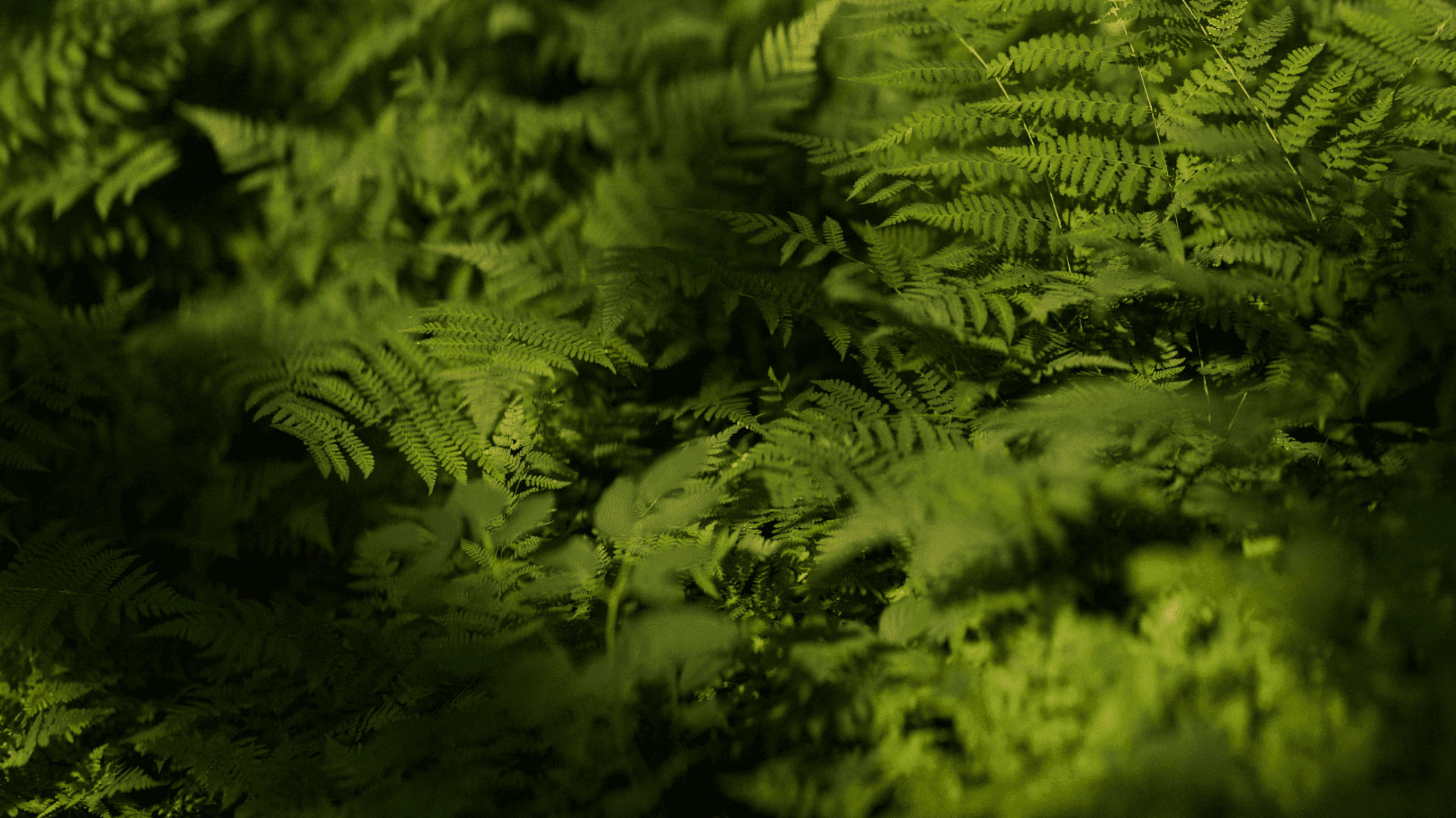 Quiet Forms