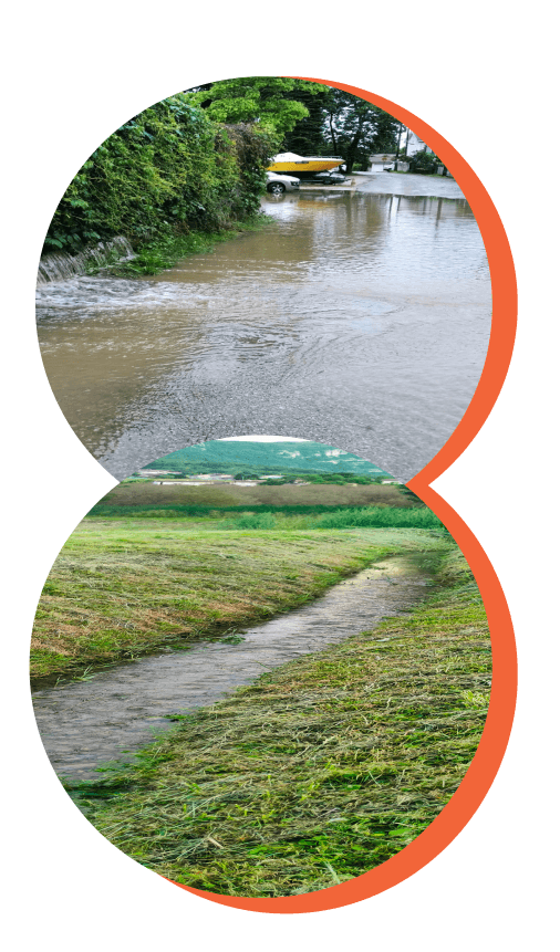 Speaker Presenting at Conference with Audience