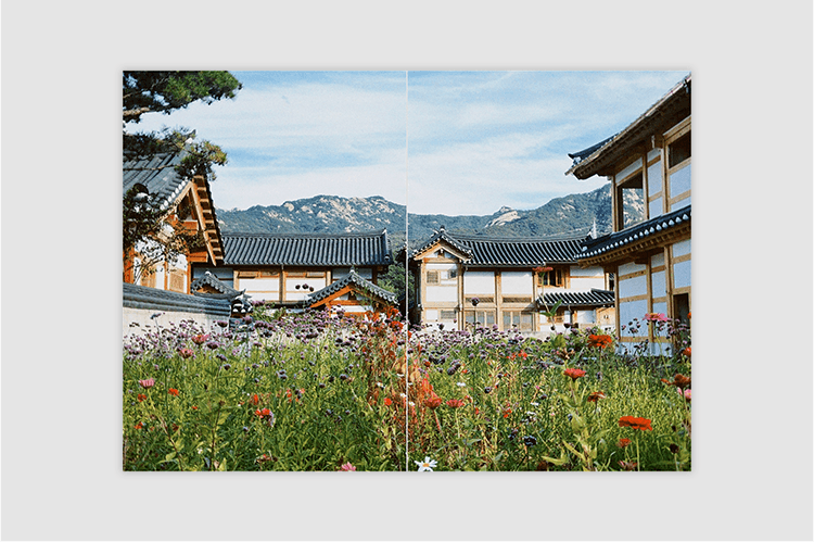 Project Gallery Image for 50% width of the screen #2