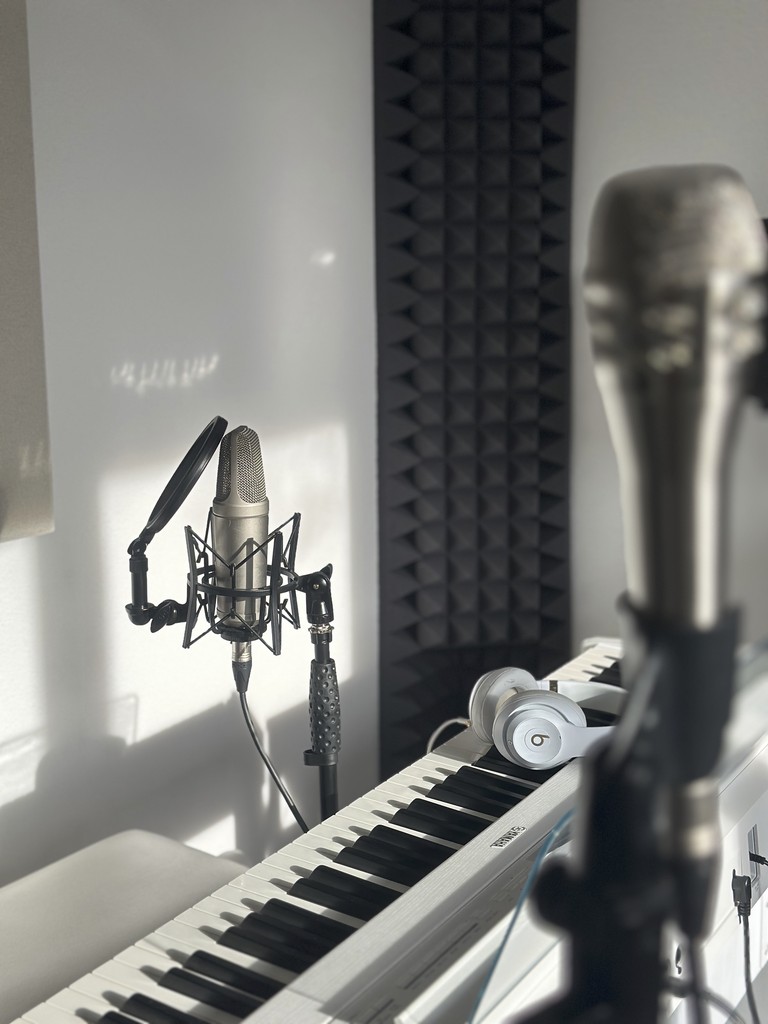 Zangles Studio in Lemmer