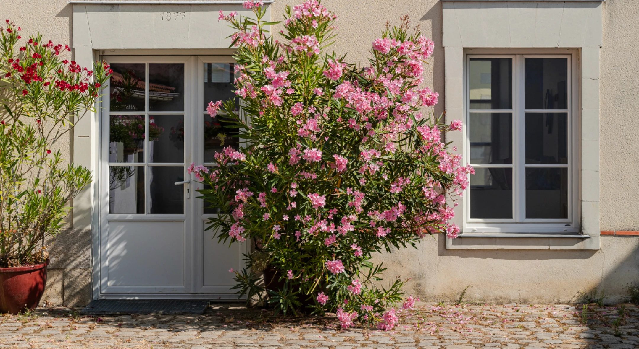 Façade fleurie de la maison du Domaine du Haut Bourg