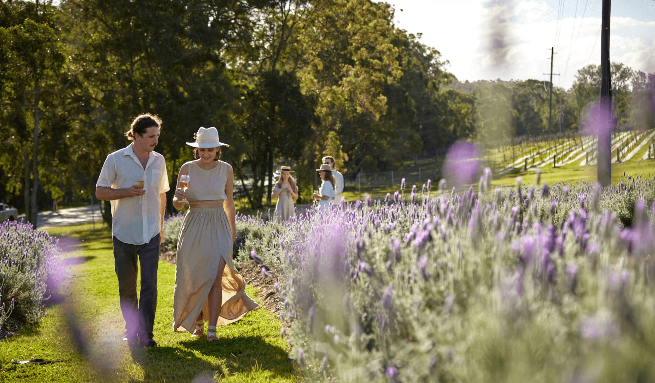 Sirromet Winery QLD