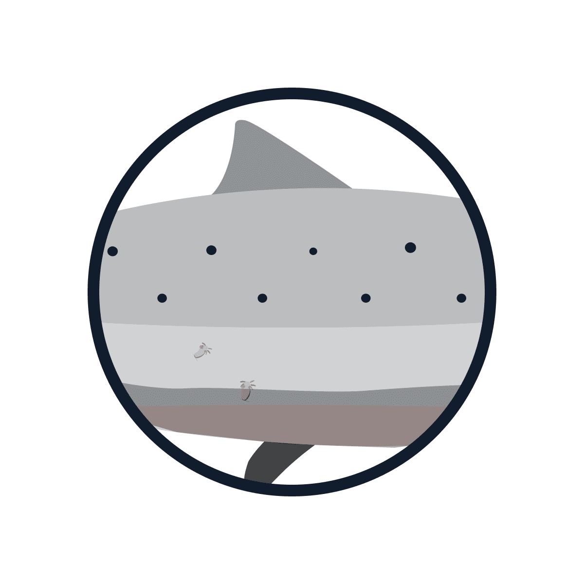 Coach explaining something to an athlete