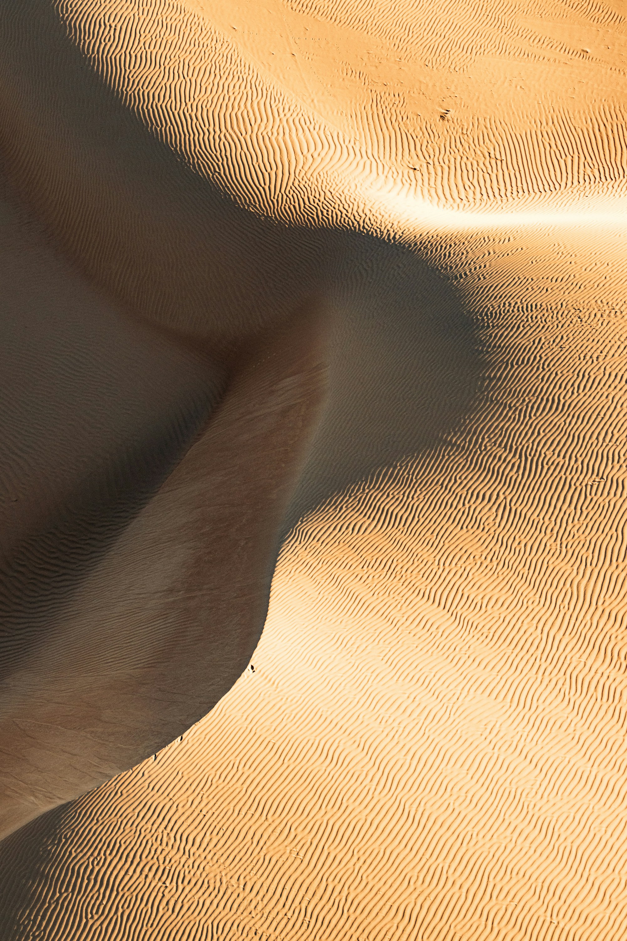Desert dunes with ripple patterns
