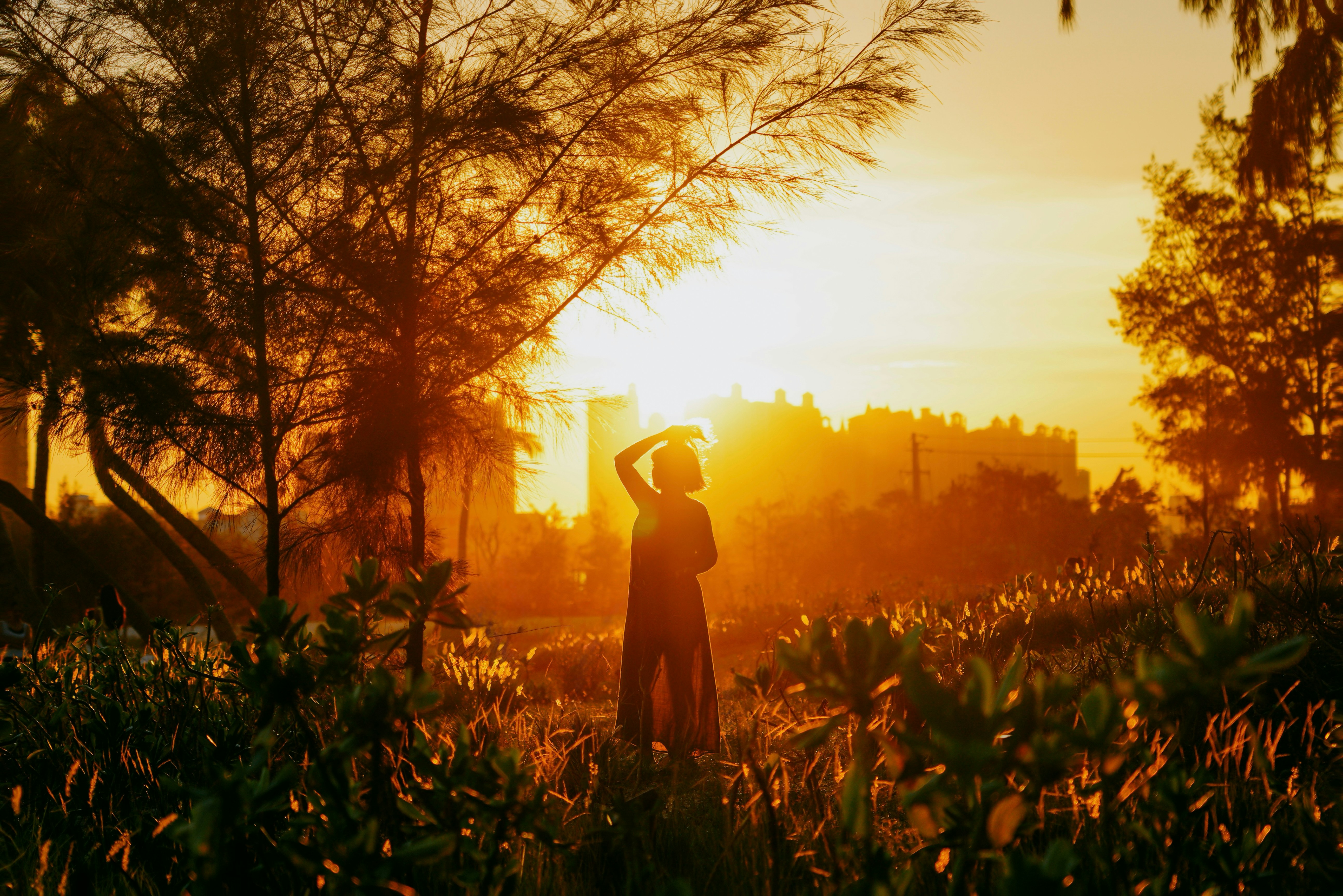Silhouette of a person in a field at sunset.