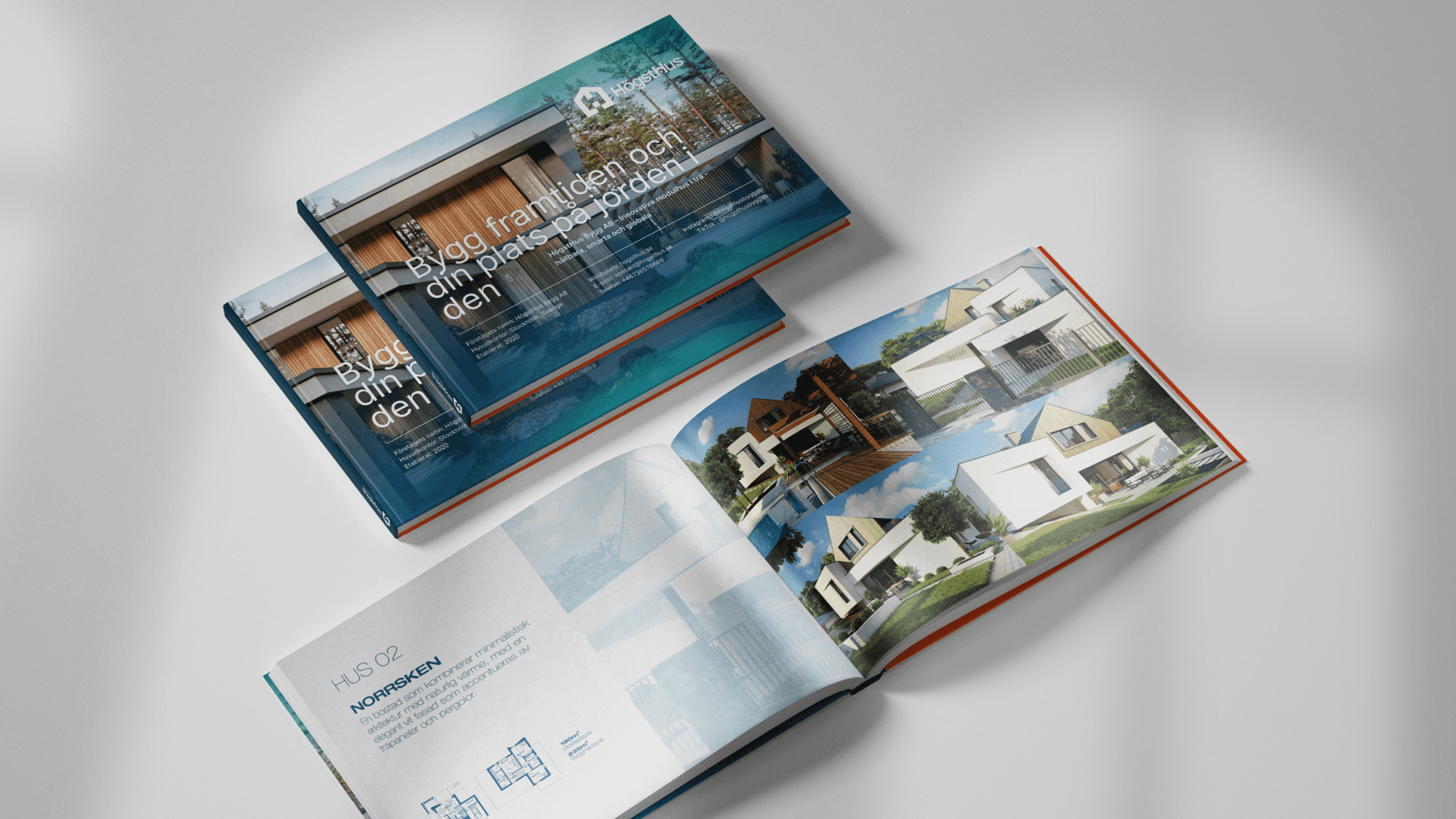 Project Gallery Image for 50% width of the screen #2