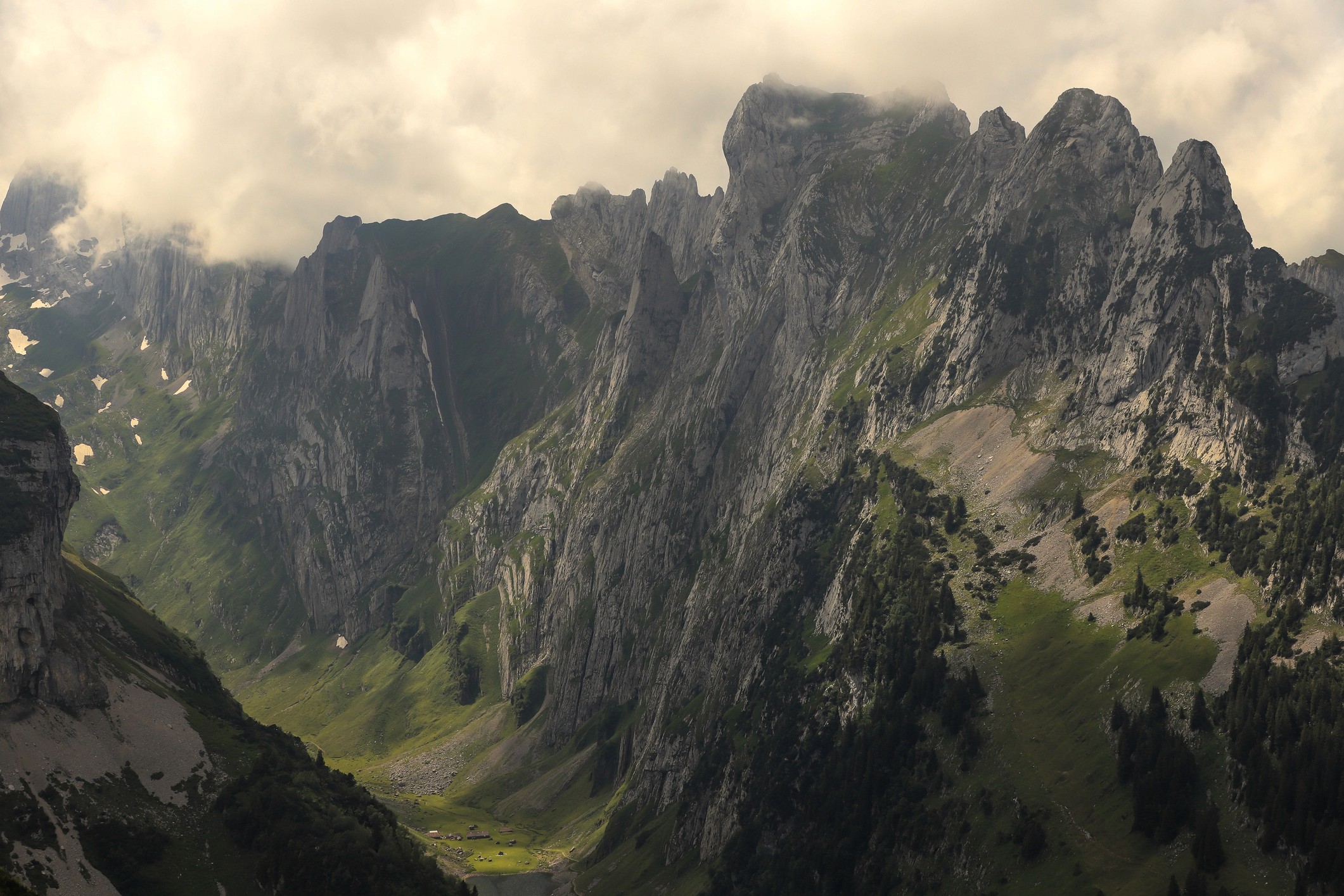 Performance Marketing in der Ostschweiz