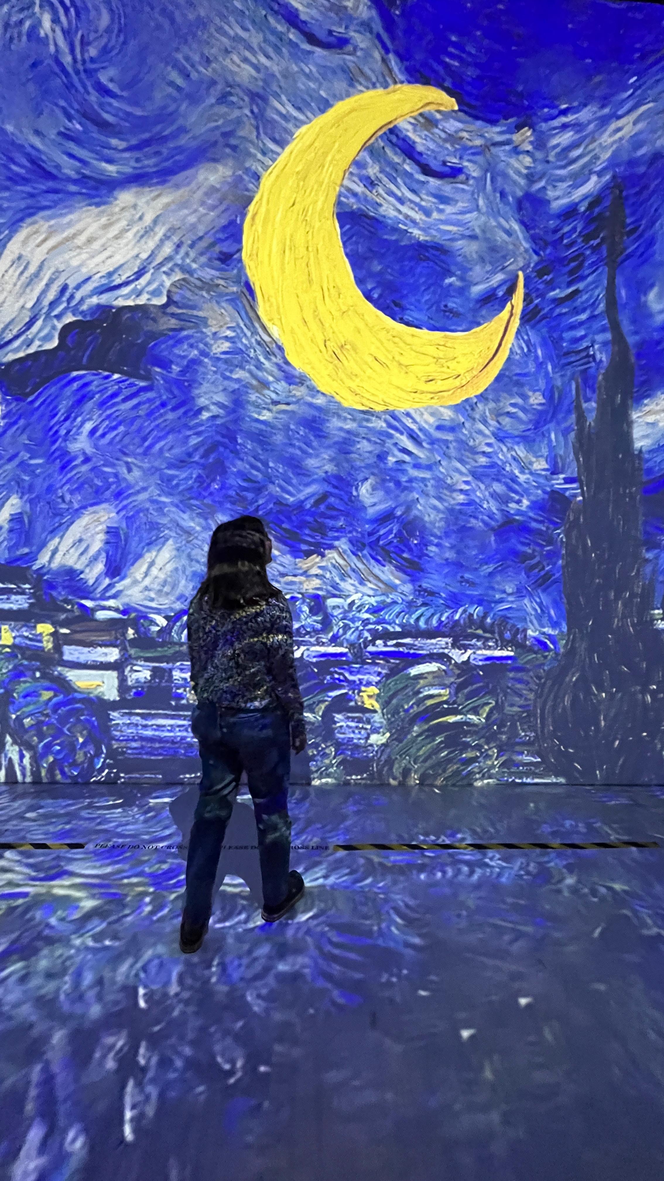 Vincent Vangogh 360