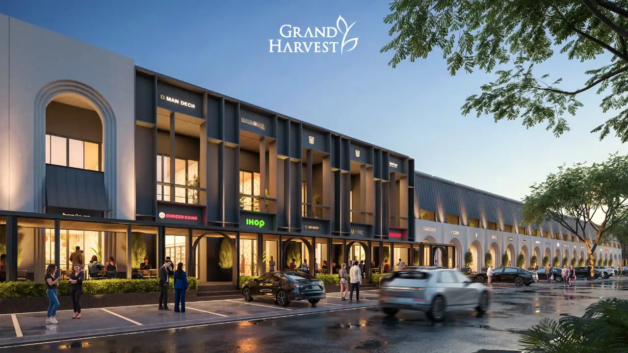 Highstreet Grand Harvest