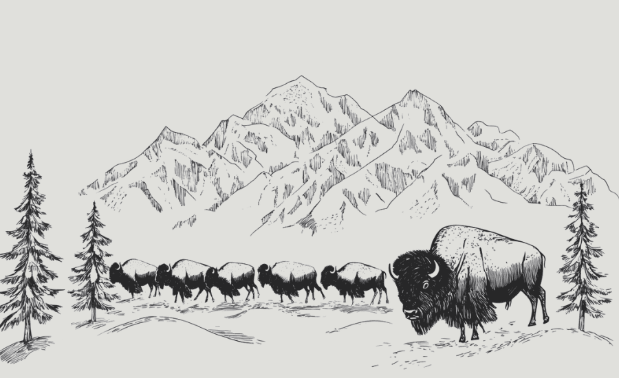 Illustration of Yellowstone