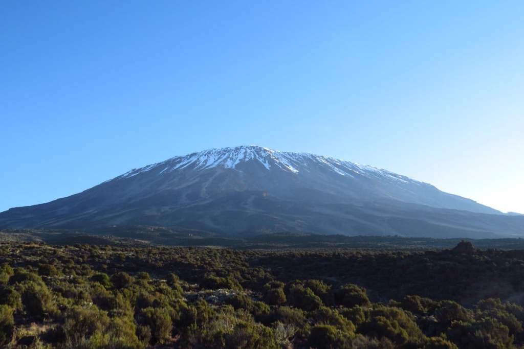 Kilimanjaro View