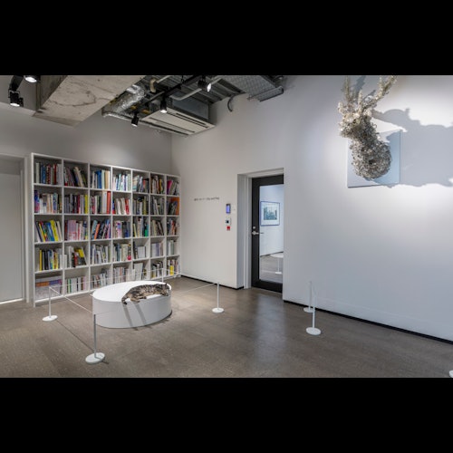 上島博物館：東京入場票