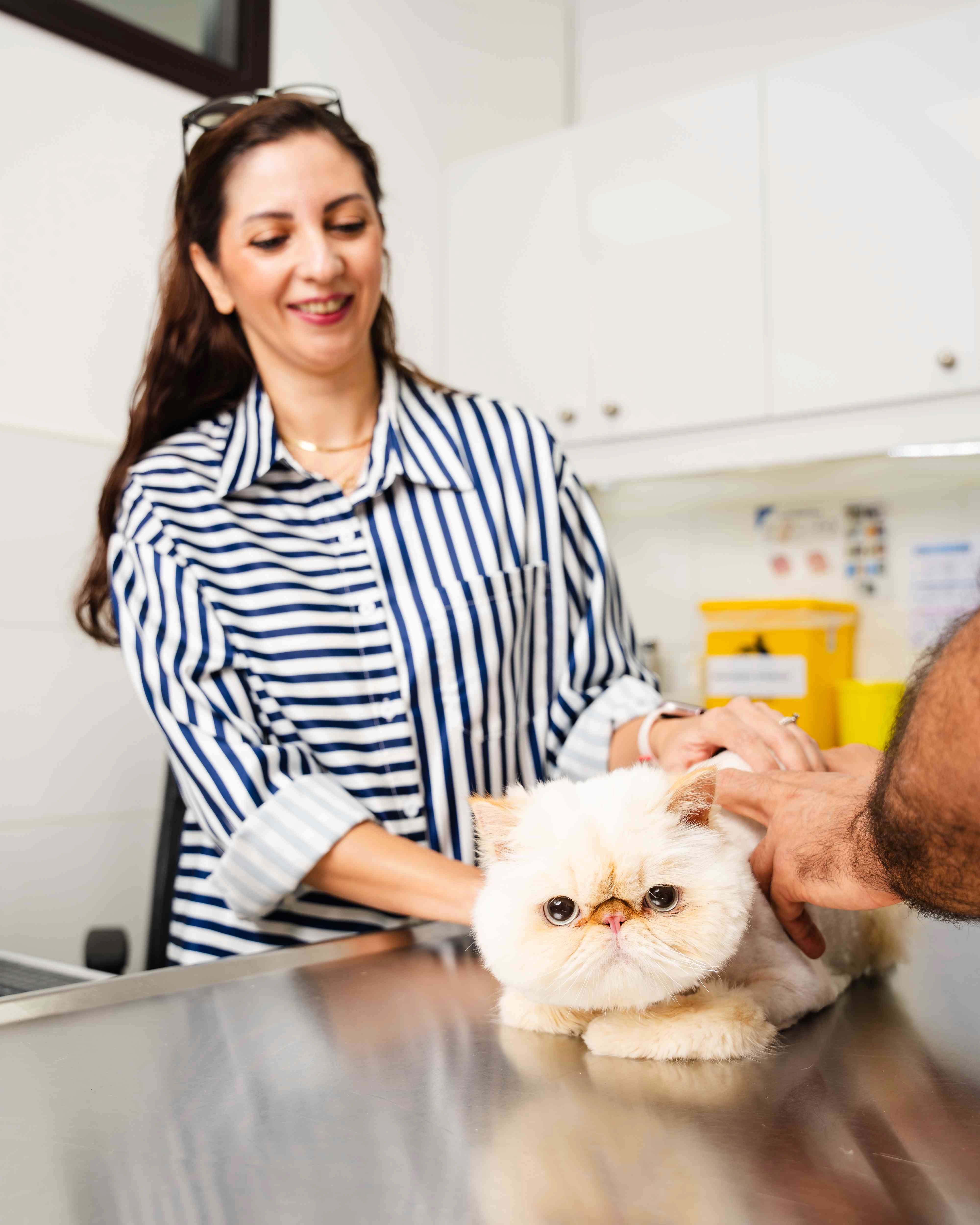 Dr. Soheyl greets a regular dog patient happily at our JLT clinic