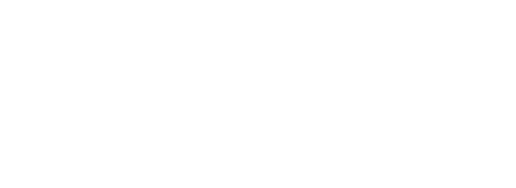Cheuveux Chic logo