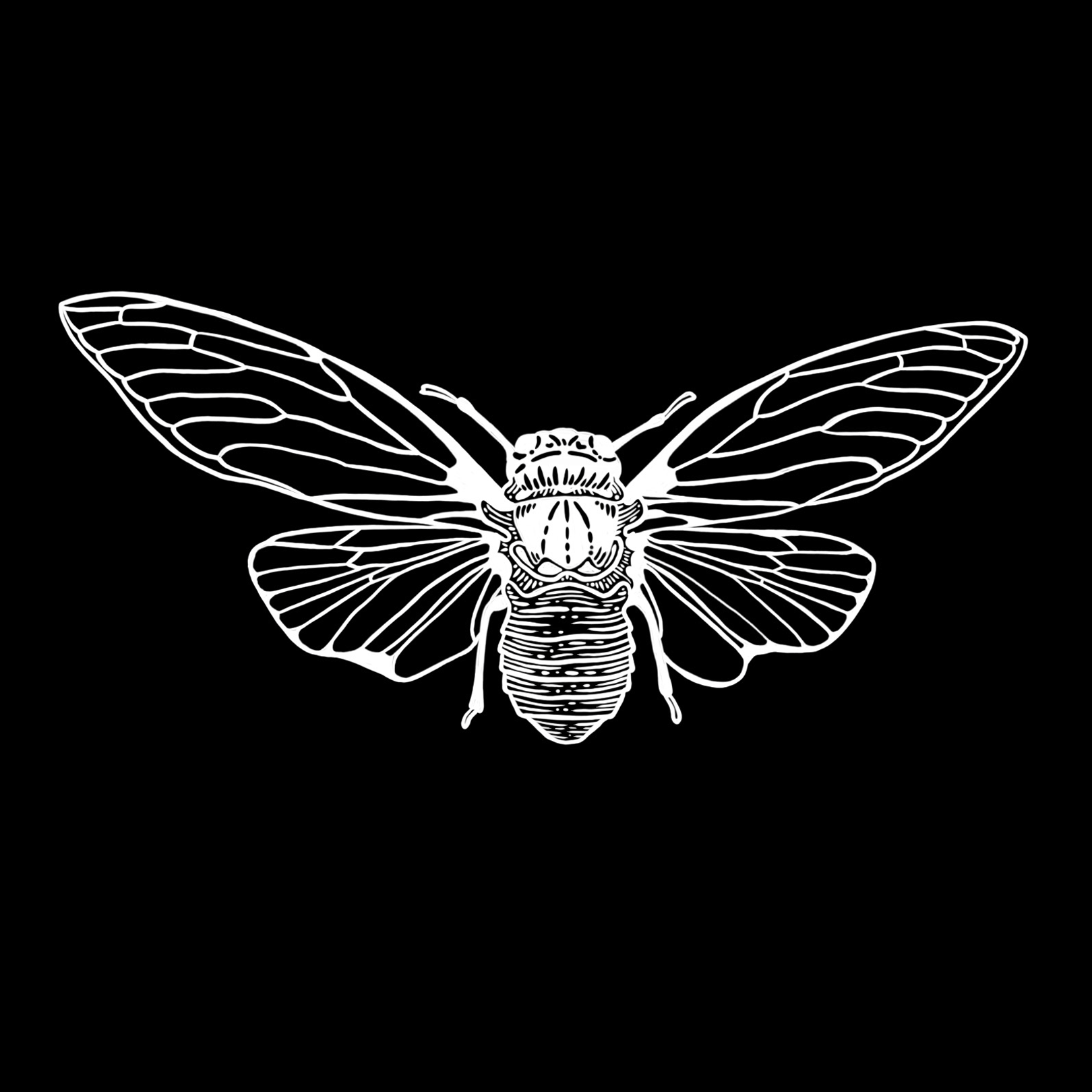 The image featured at the top of the about us page #2