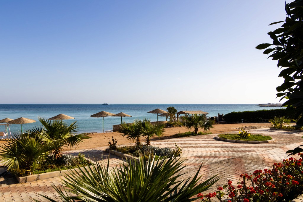 gray and white concrete house