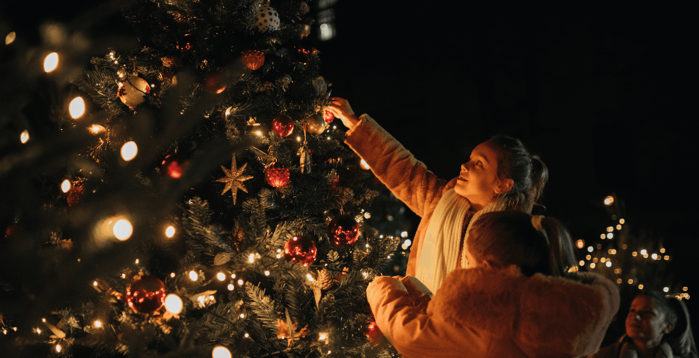 Christmas light installation for chester county homes