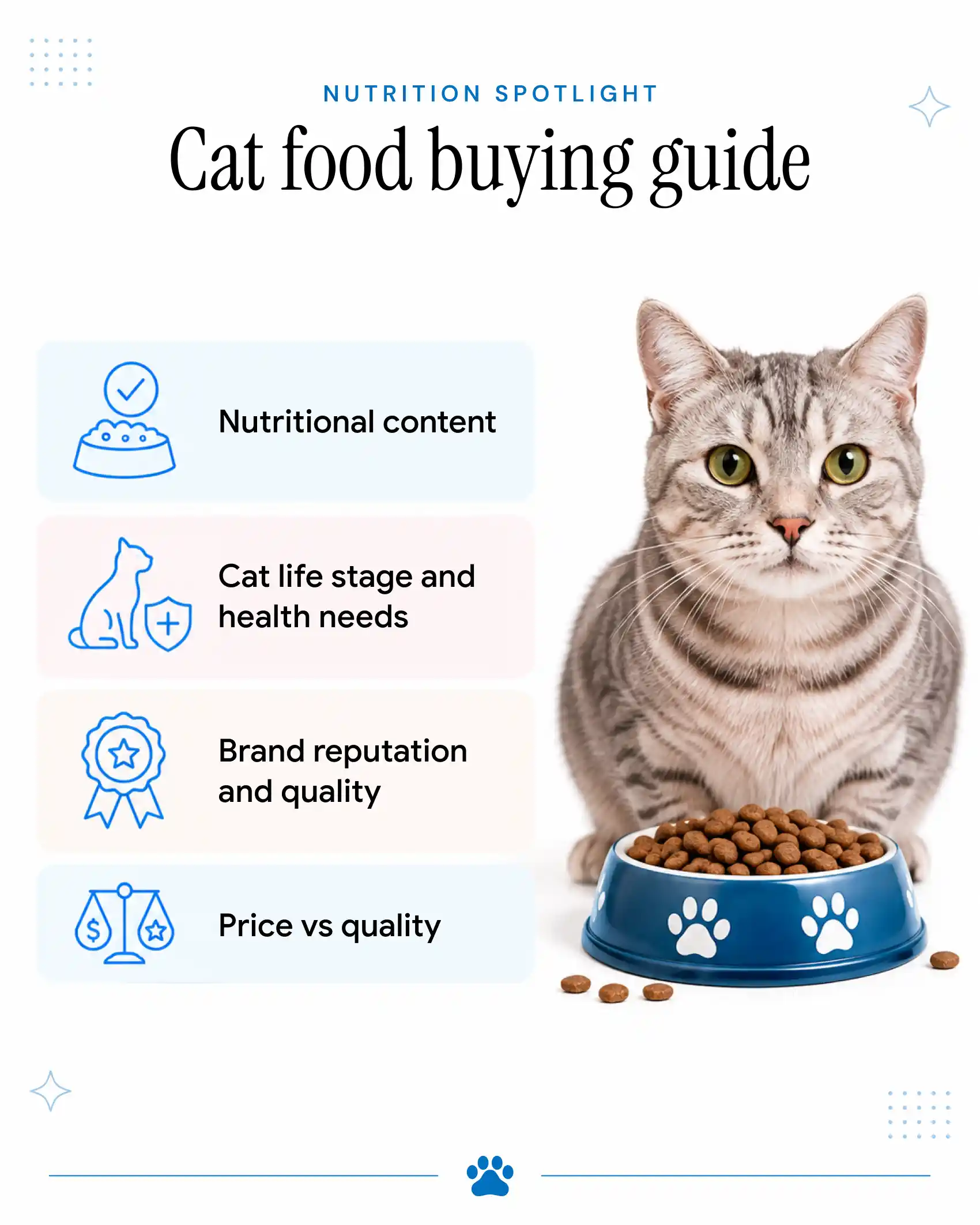 What to Look Out for When Buying Cat Food