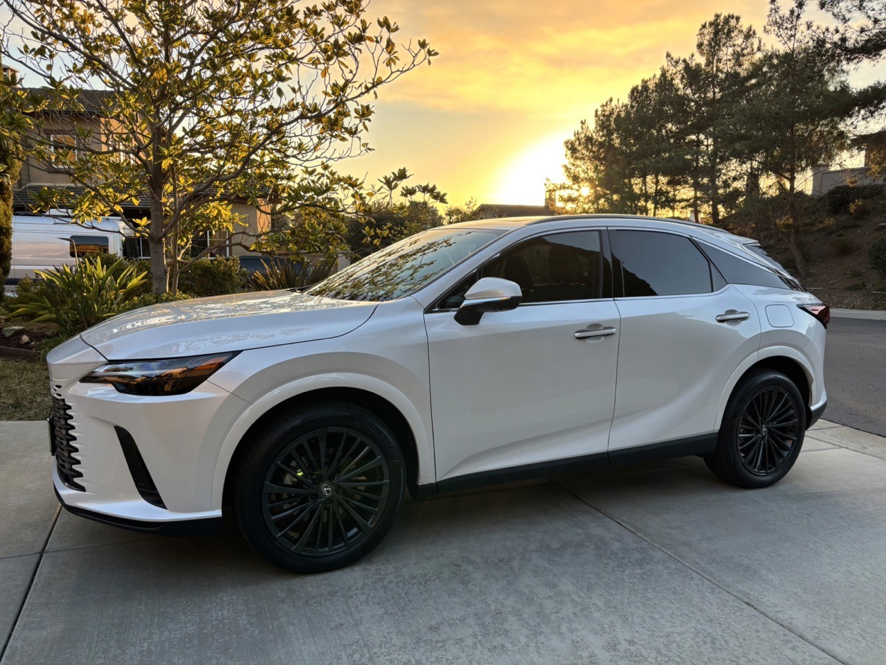 Lexus RX delivered to client