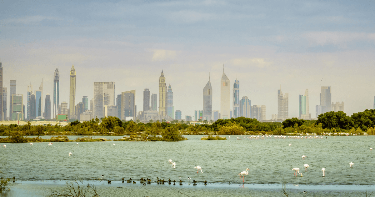 ras al khor location dubai