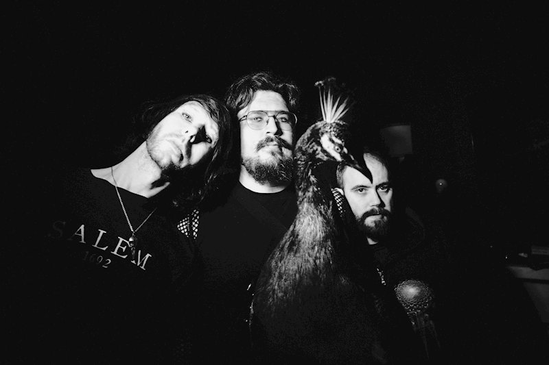 In A House Of Heartbeats promo