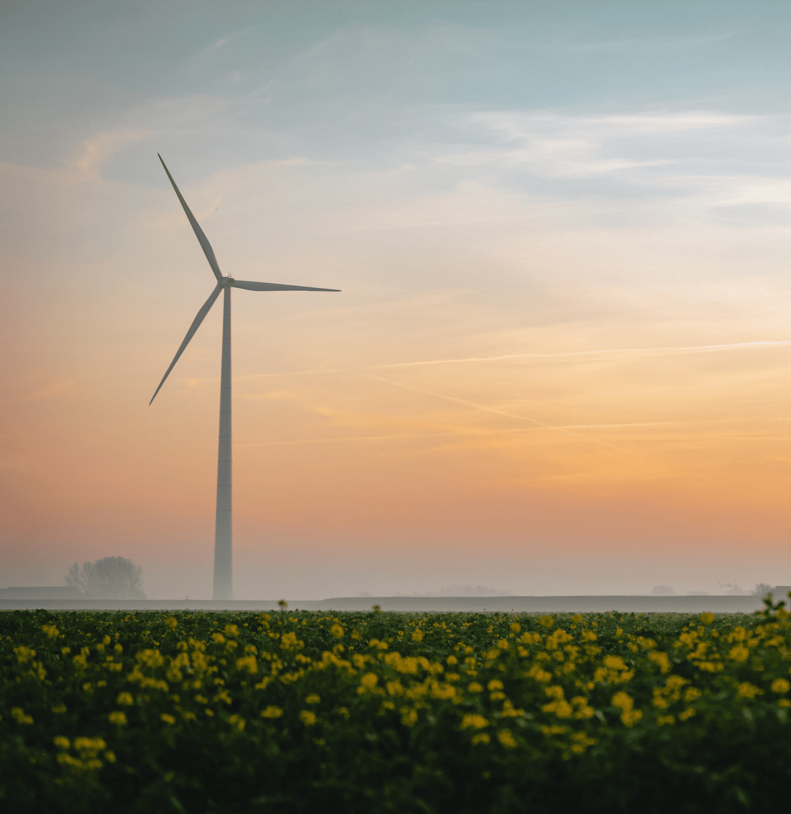 Een mistbank creëert een mysterieuze sfeer boven een Nederlands plattelandsboerenveld. Een oude windmolen en een moderne windturbine staan in harmonie, wat het samenspel symboliseert van traditionele en moderne technologie in duurzame energieproductie.