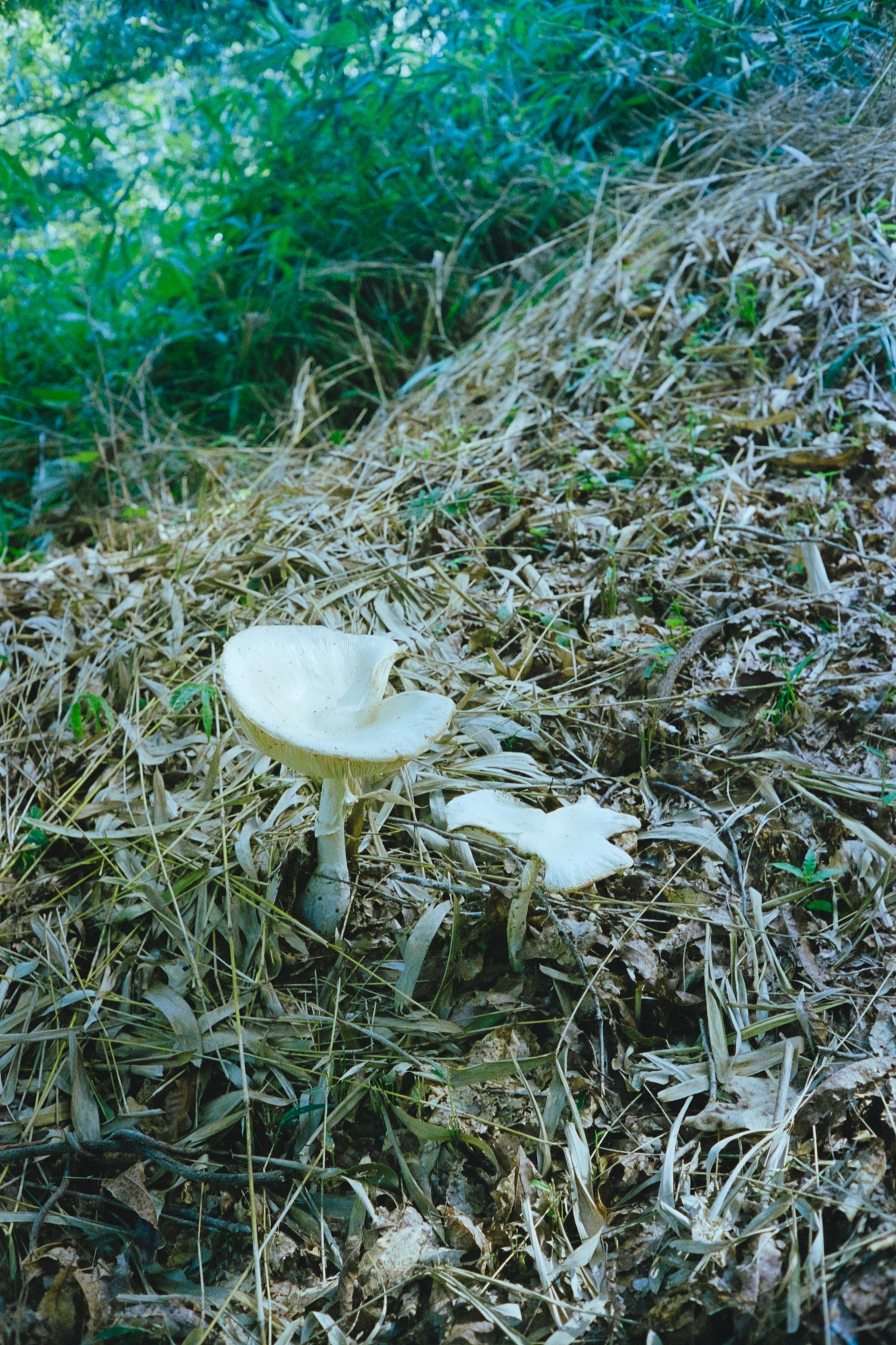 Taisei Matsumoto, 2023 exhibition view 08