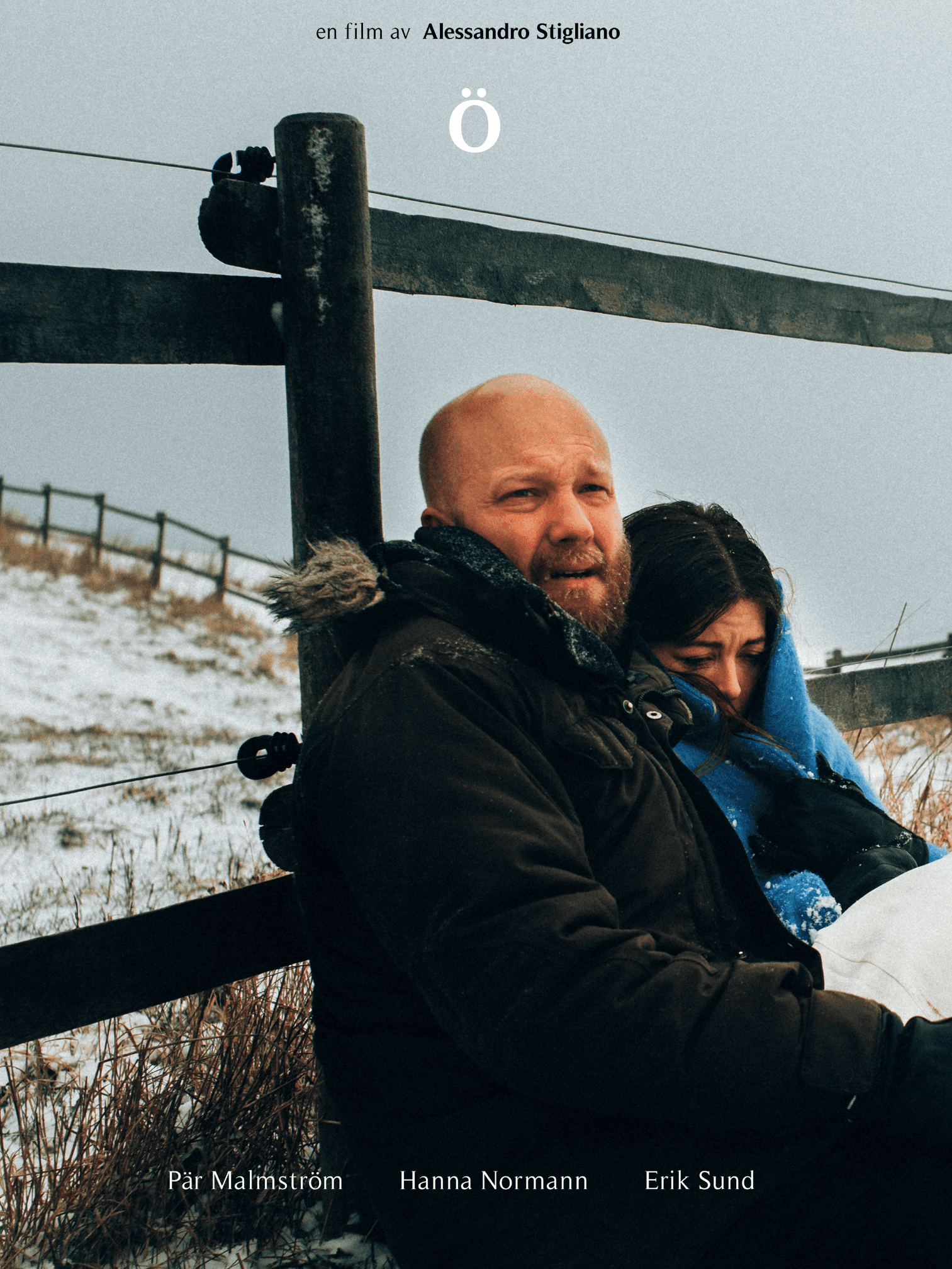 Magnetic repel image