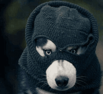 A couple holding hands on a ledge overlooking a glowing fantasy castle