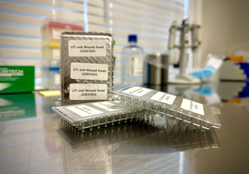 BioGen PCR UTI and Wound pre-plated PCR plates in a laboratory