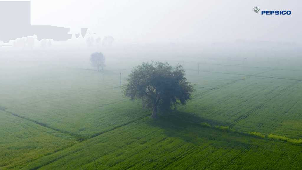 Album Photo Real Mehedi Free Framer Template Photography