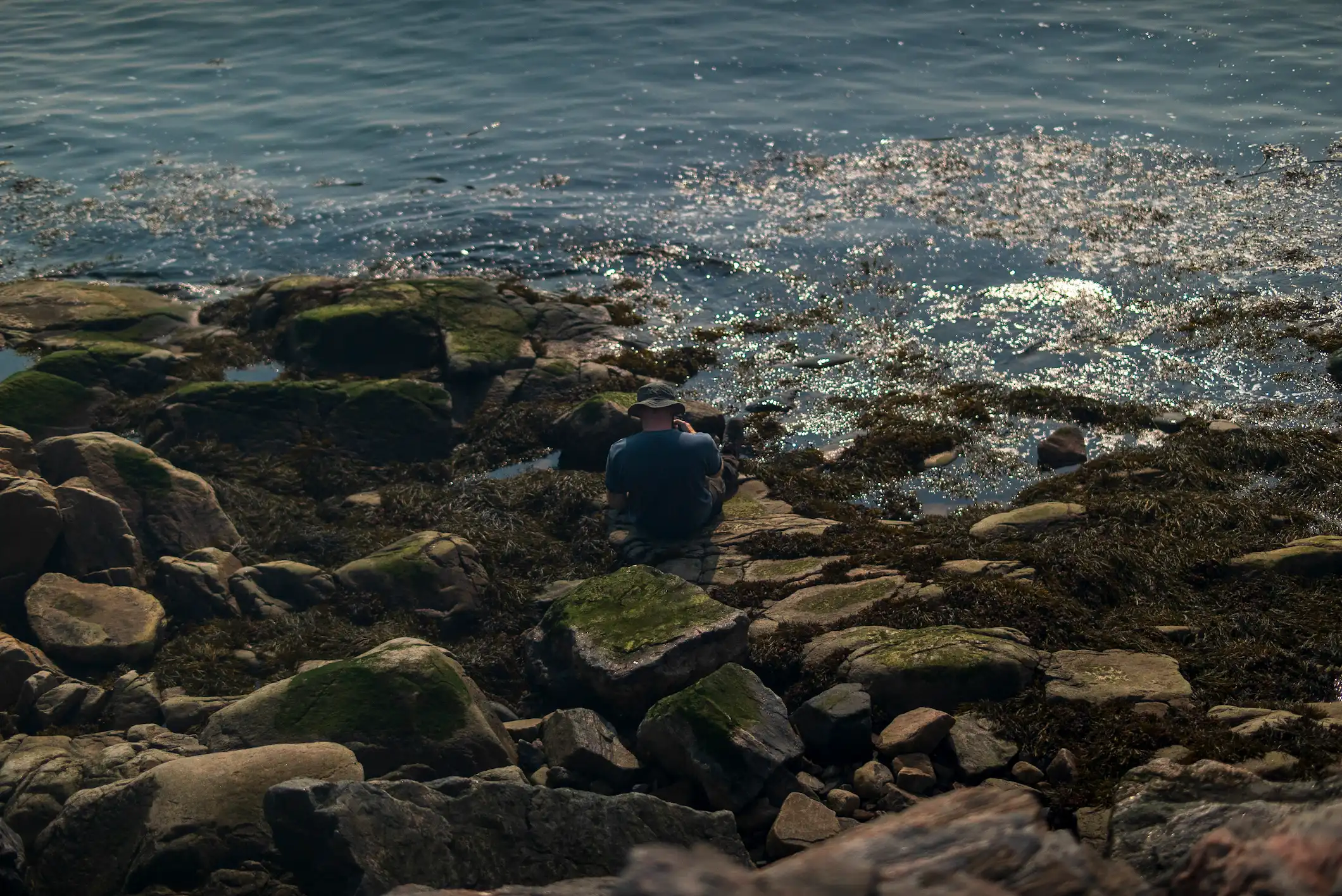 Personne assise sur des rochers couverts d’algues, enregistrant les sons marins face à l’eau scintillante.