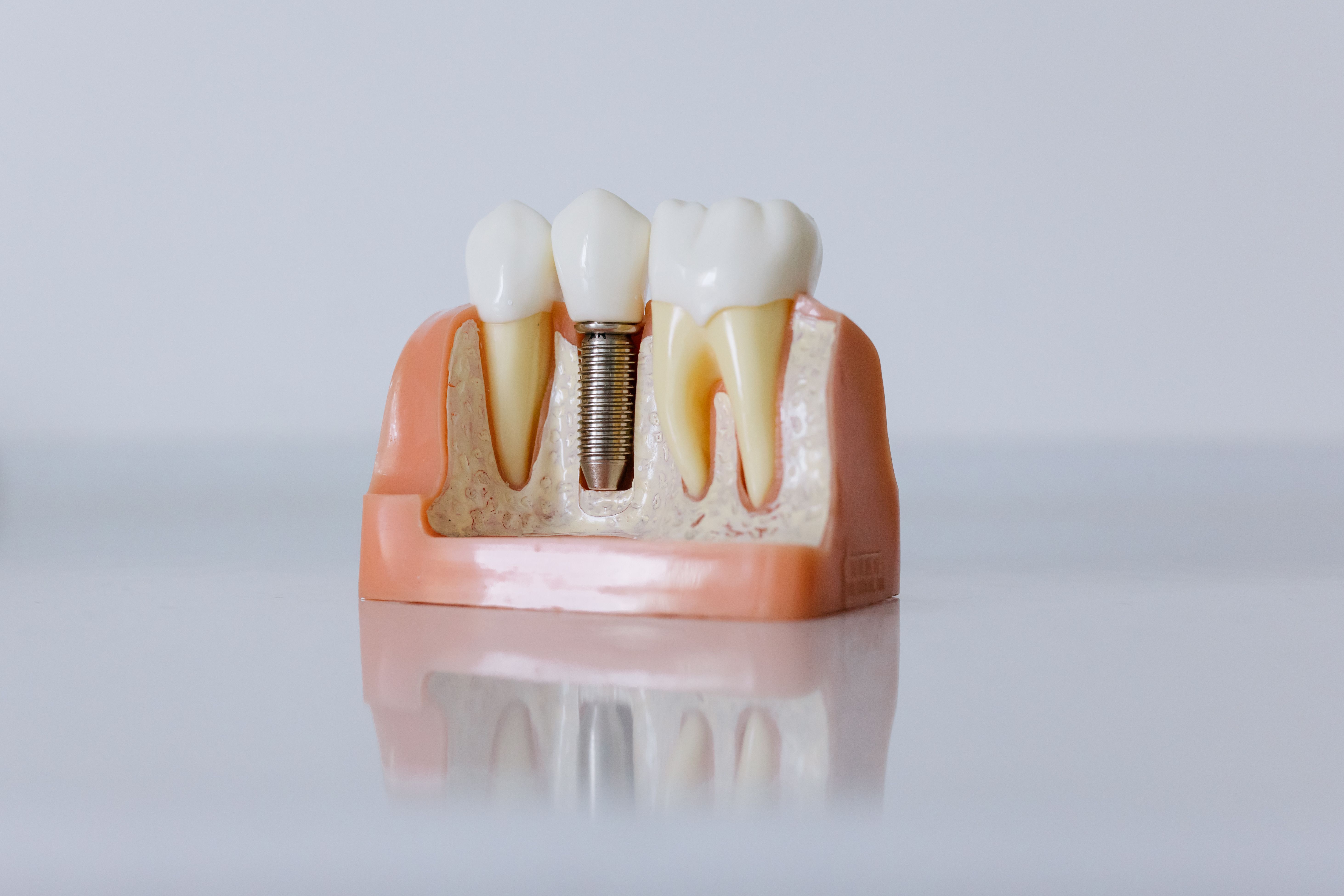 teeth