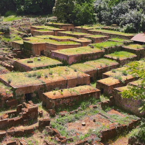 分层的、过度生长的废墟，带有苔藓覆盖的石质结构和散落的植被，坐落在郁郁葱葱的森林景观中。