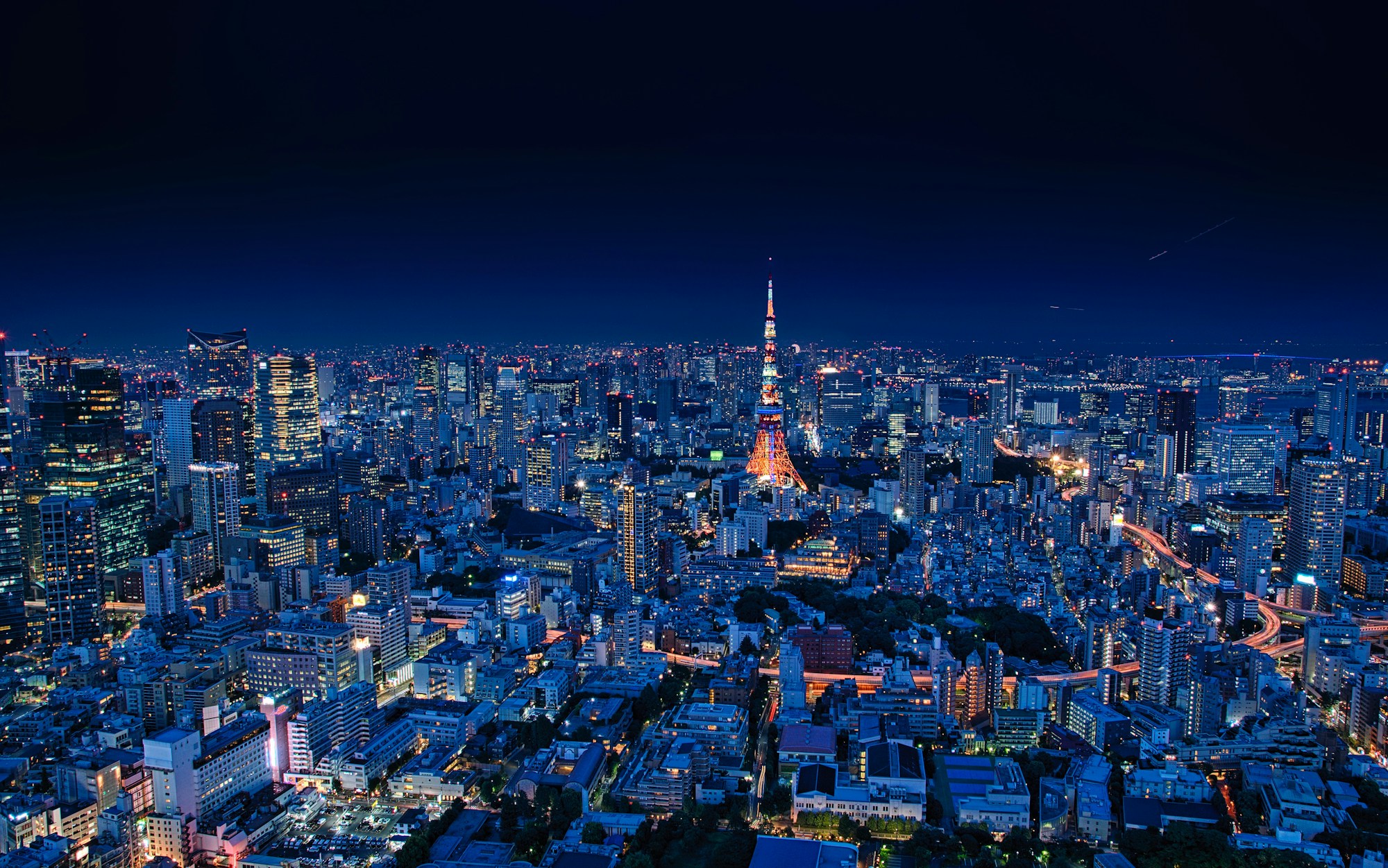 Tokyo skyline at blue hour with Tokyo Tower