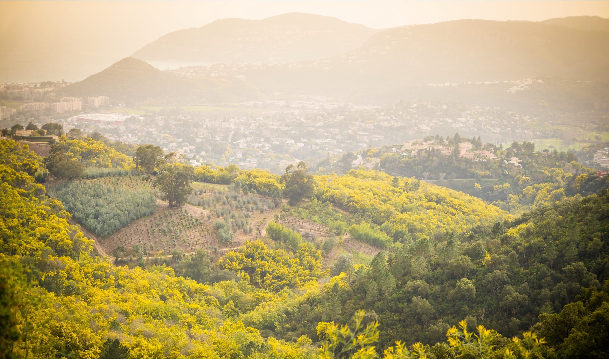Mas en Provence site vue Mandelieu 