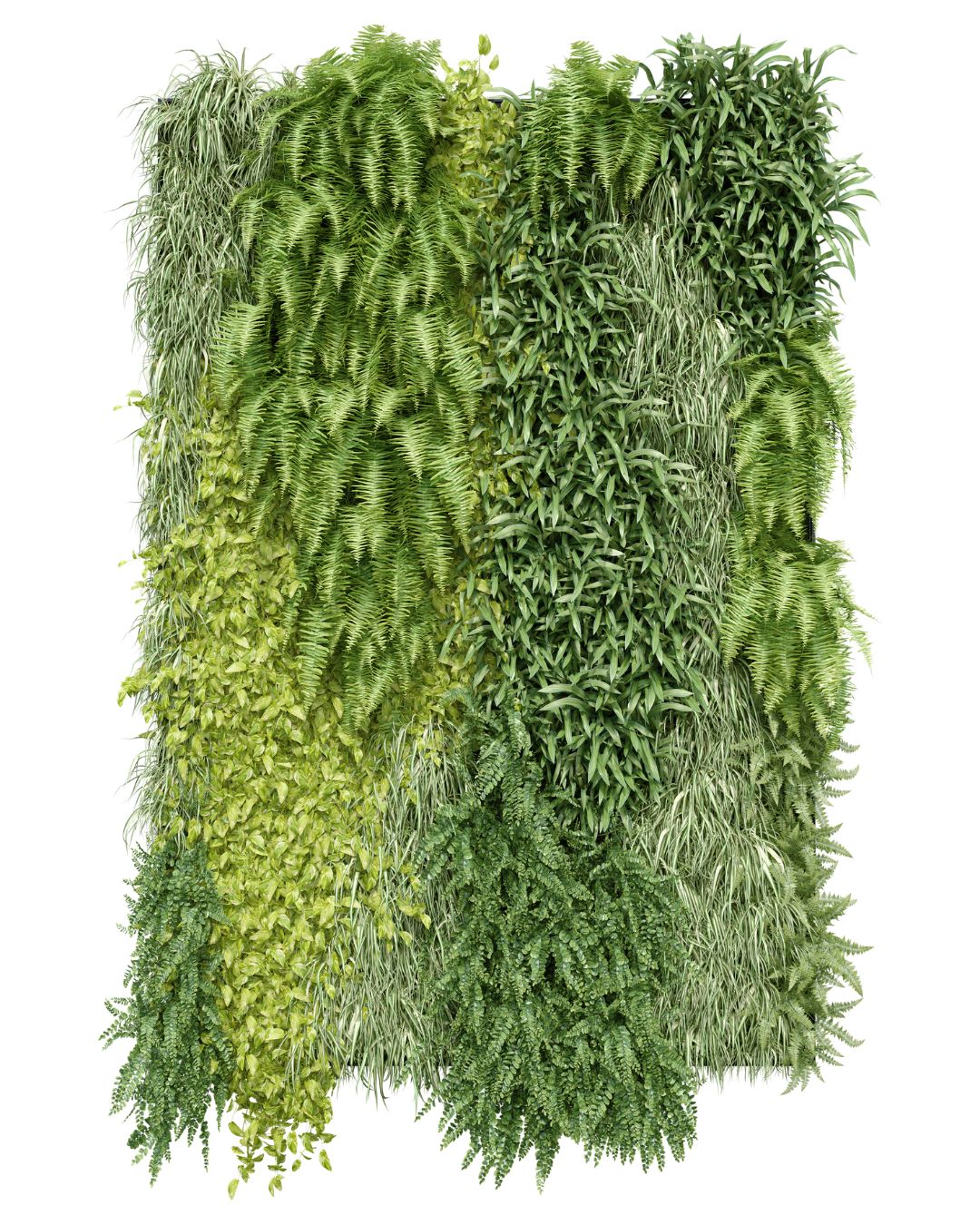 Diseño de Piasaje en Ciudad de Mexico