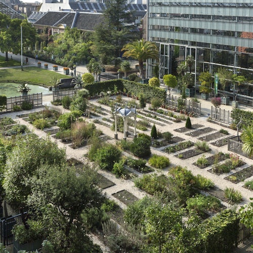 莱顿植物园:莱顿免排队门票