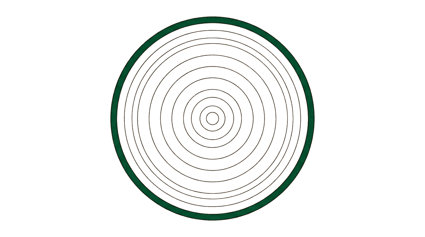 Facility Management Tender: Successfully Winning Framework Agreements and Concepts — tree rings illustration