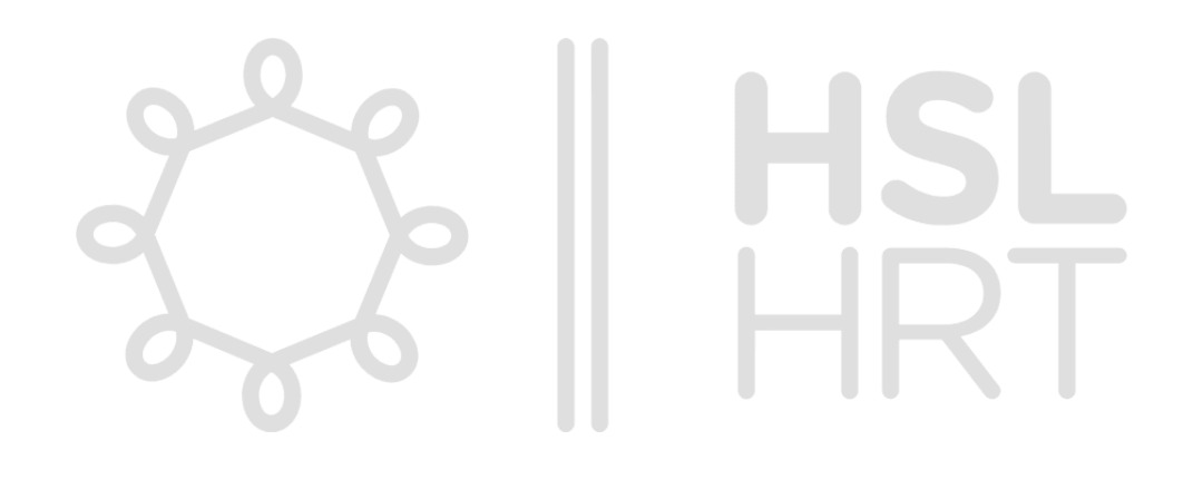 Helsingin Seudun Liikenne x Network & Growth