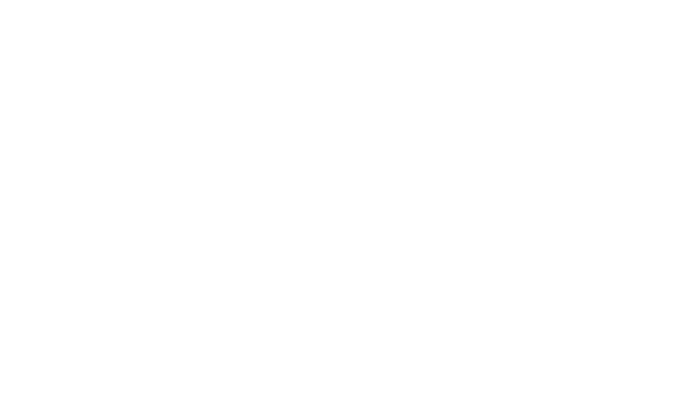 MHELS Word Mark